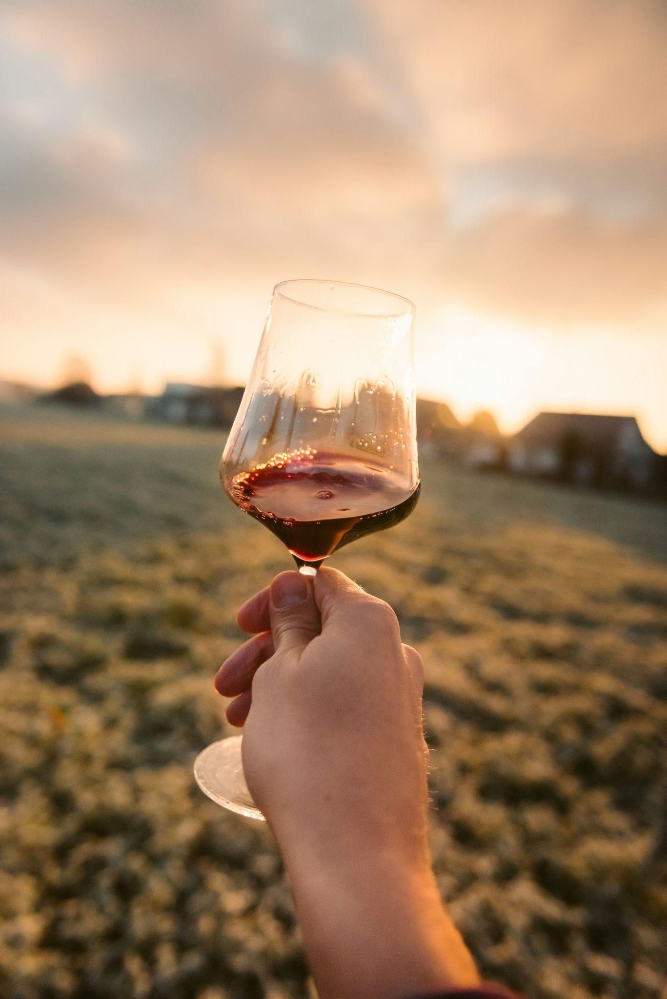 person taking a picture of their glass of red wine in front of a sunset