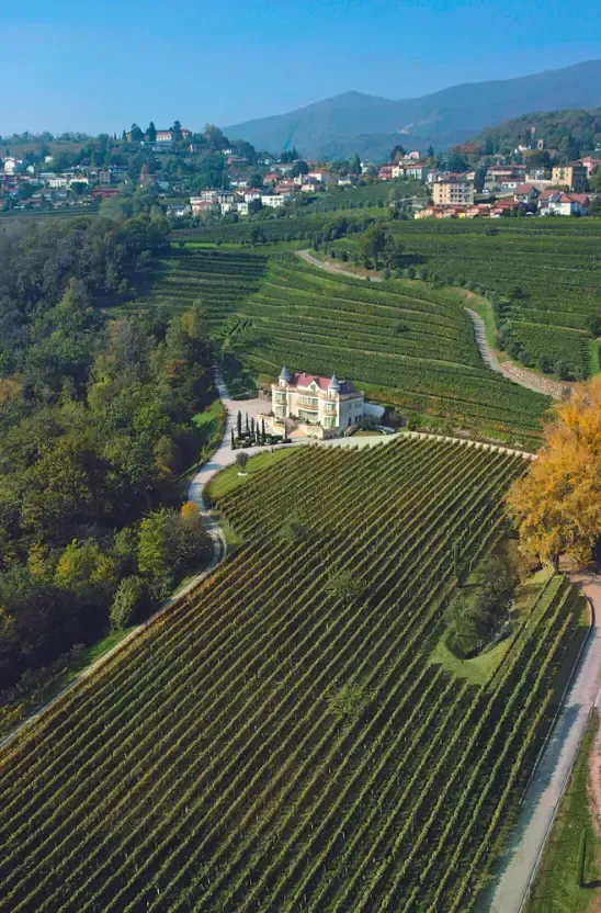 Castello Luigi's 9 hectars of the vineyard and the castle